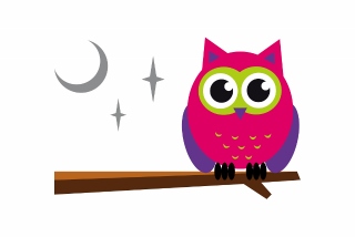 owl club logo